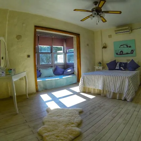 Leo Serenes אלאקאטי